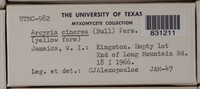 Image Associated With the Occurence